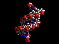 Matura z biologii – genetyka, najważniejsze pojęcia